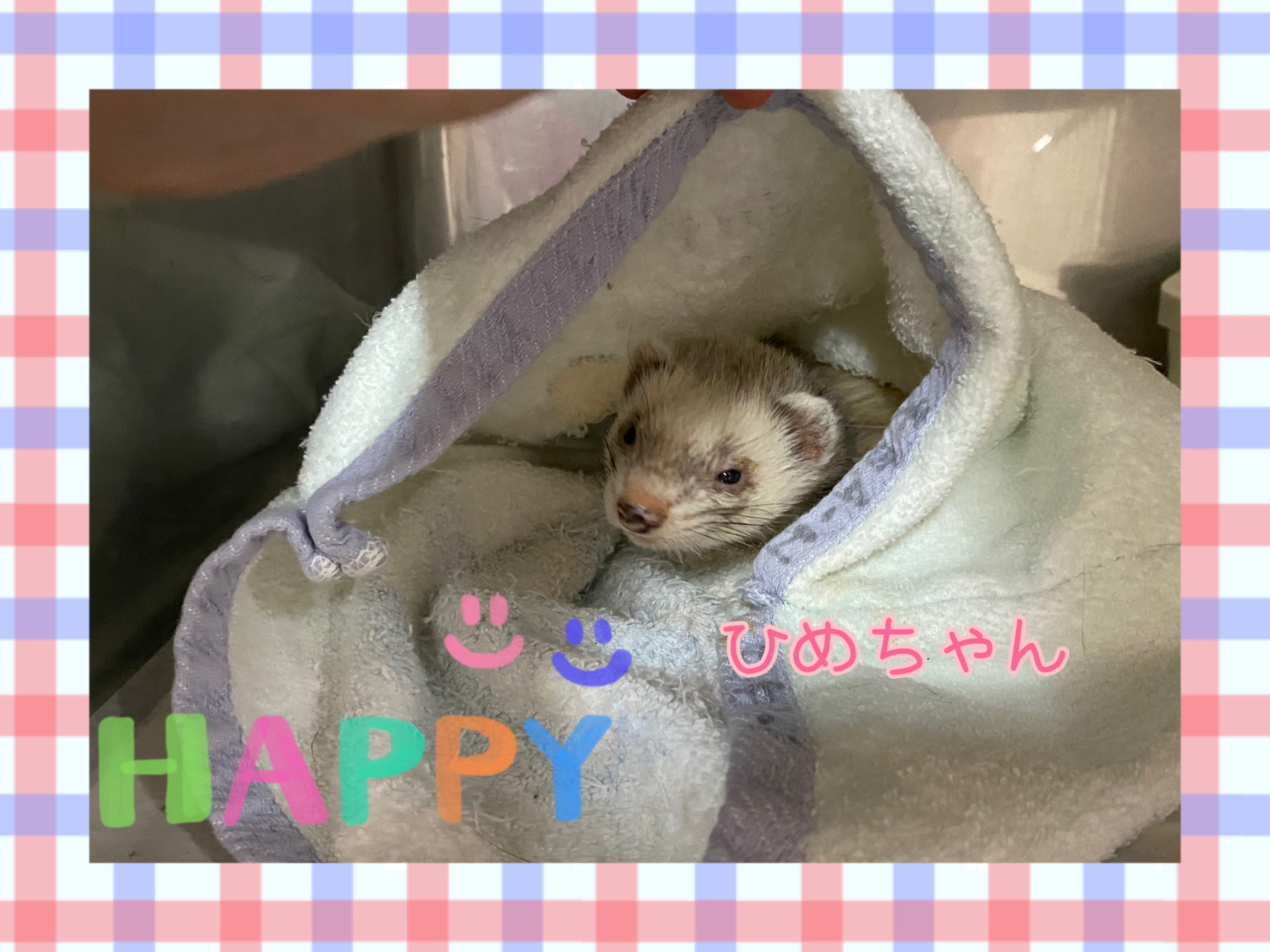 ひめ