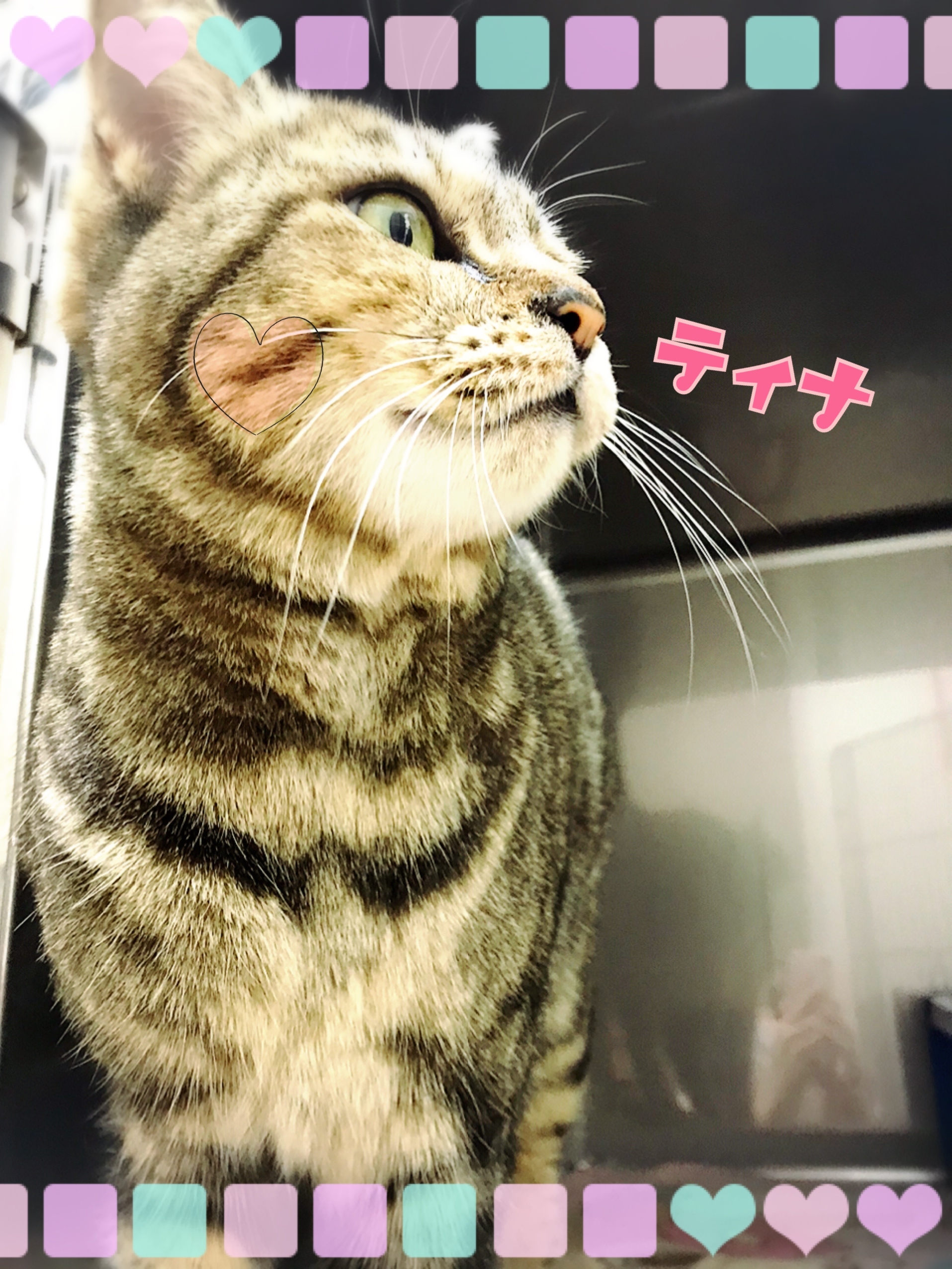 ティナ