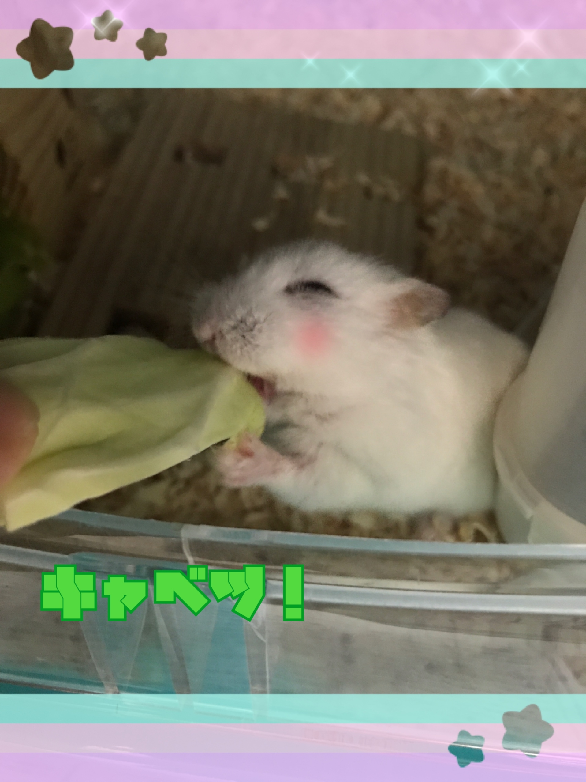 まろ