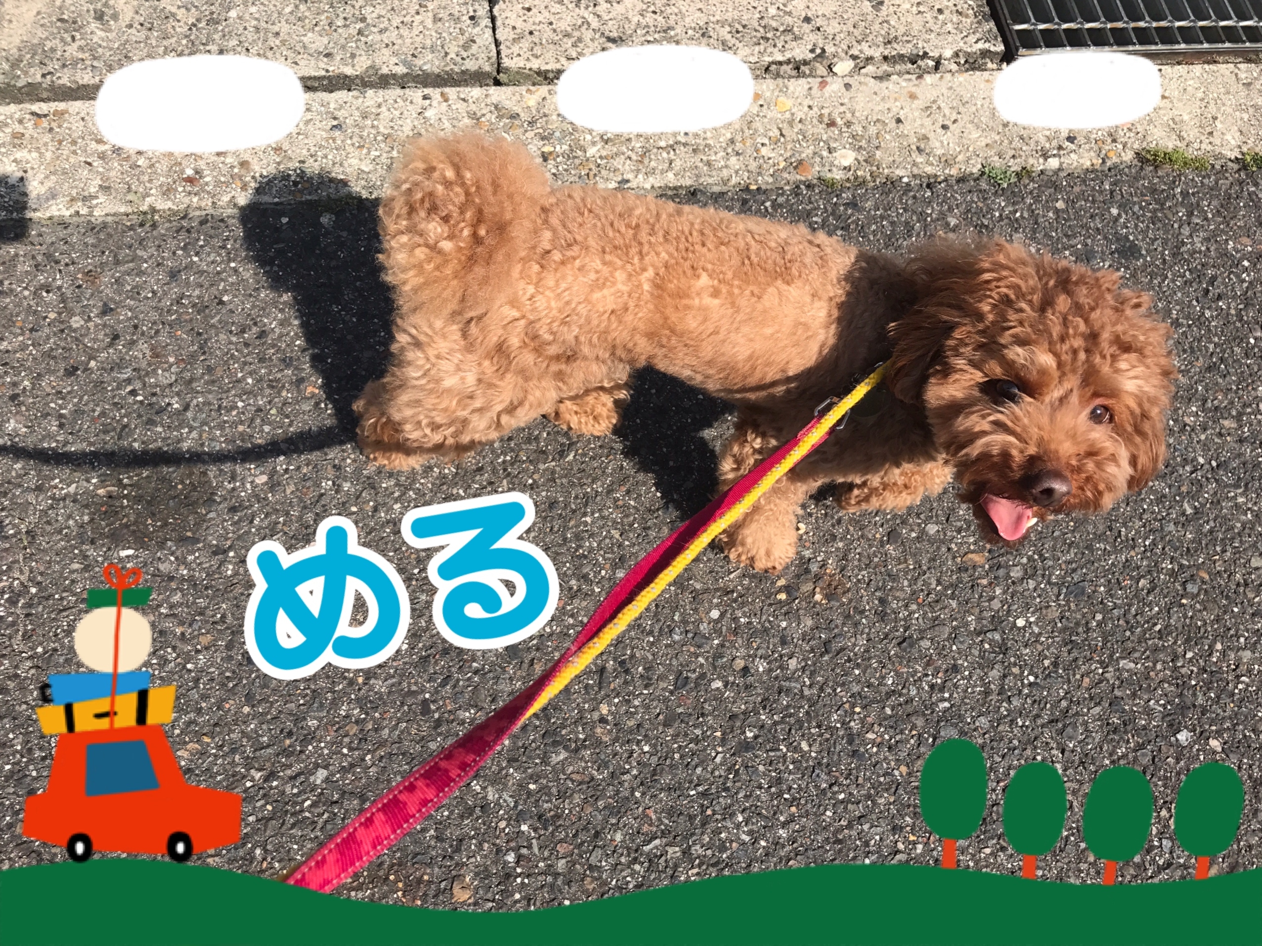 さくらめる