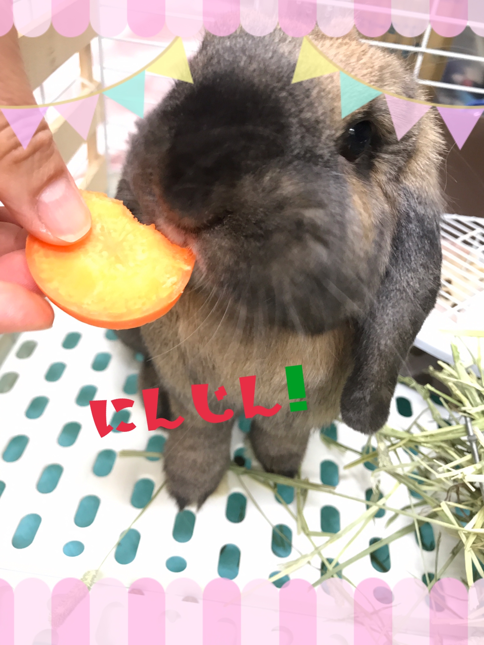 トッティ