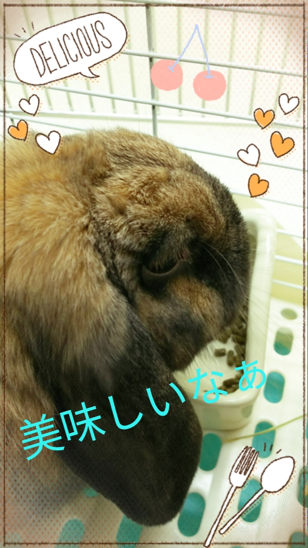 トッティ