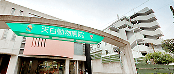 天白動物病院