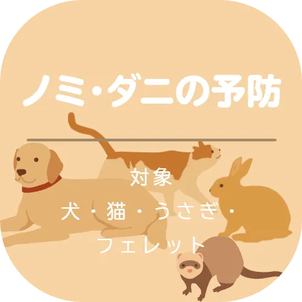 ノミ・ダニの予防
