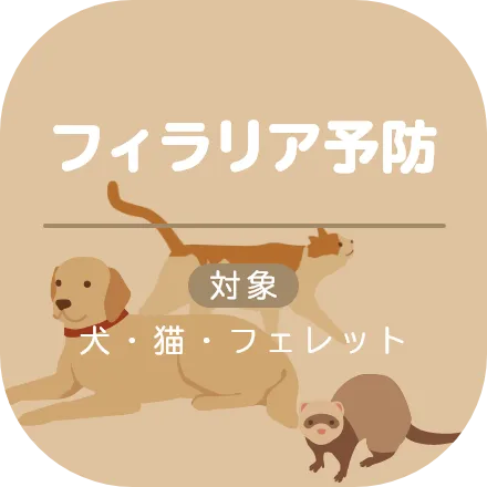 フィラリア予防