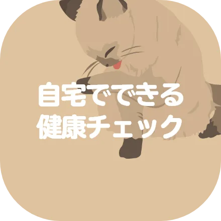 自宅でできる健康チェック