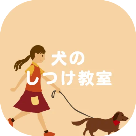犬のしつけ教室