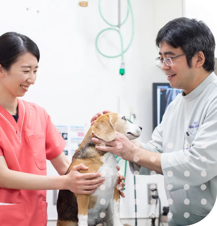 ペットにより優しく、より負担の少ない治療を目指して、レーザー治療(半導体レーザー)を導入しています。